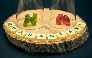 Η αρχή της αναλογικότητας μας καλεί να προσαρμόσουμε τα κατάλληλα μέσα στον θεμιτό στόχο της αντιμετώπισης μιας επιτακτικής κοινωνικής ανάγκης.