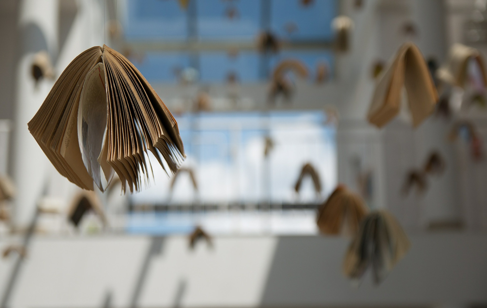 Oi Katalhpseis Se Panepisthmia Kai Sxoleia Kinoyntai Sta Plaisia Ths Nomimothtas Ean Nai Yparxei Nomos Poy To 8espizei Kai To Ka8ierwnei Syntagma Watch