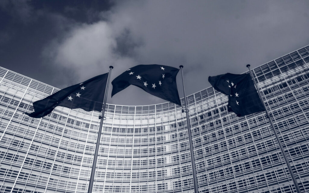 Η δημοκρατική και κοινοβουλευτική αρχή στην Ευρωπαϊκή Ένωση ως απόρροια των εκλογών για την ανάδειξη των μελών του Ευρωπαϊκού Κοινοβουλίου